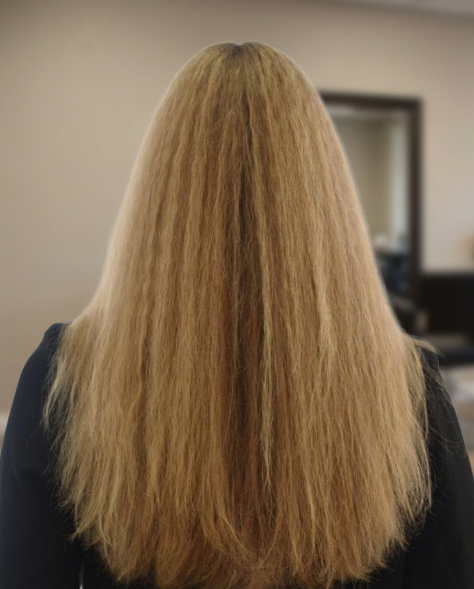 Before — Blonde and dry hair