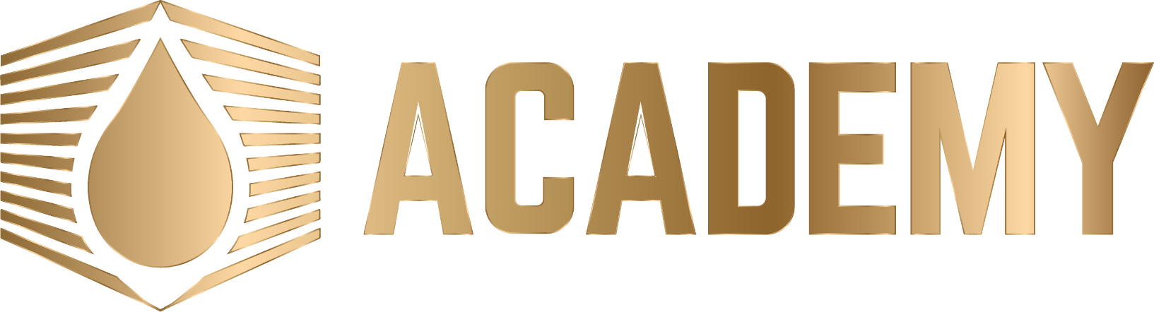 Vitta Gold Academy